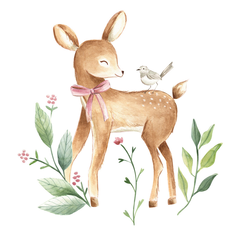 Salveta Baby deer ZS1