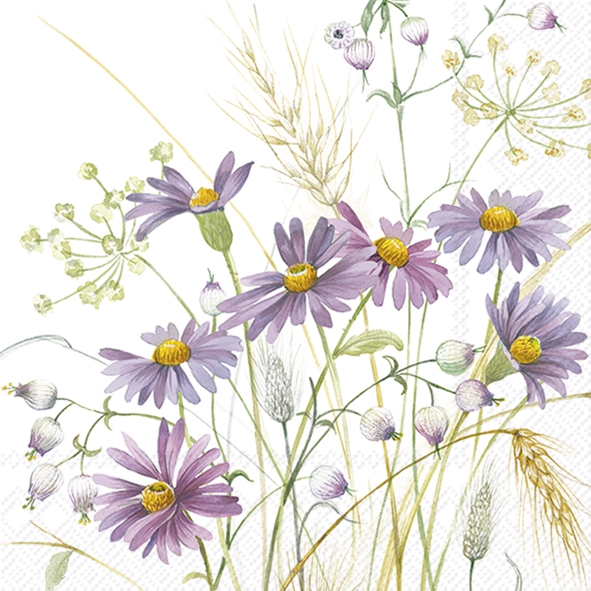 Salveta Lilac Aster C95