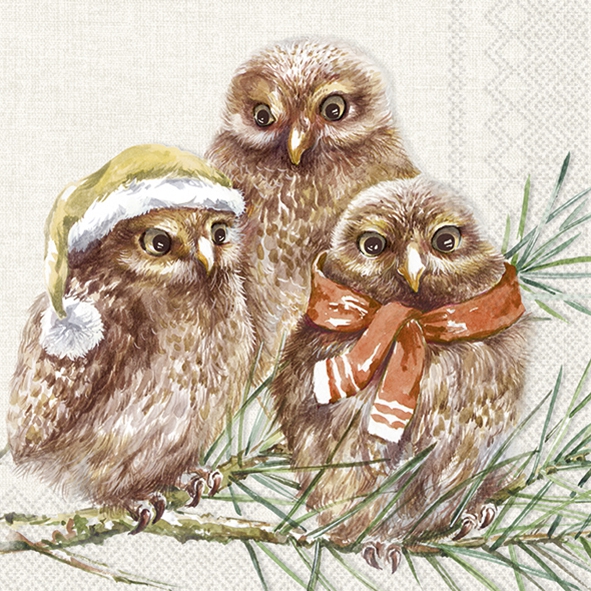 Salveta Winter Owls ZI58