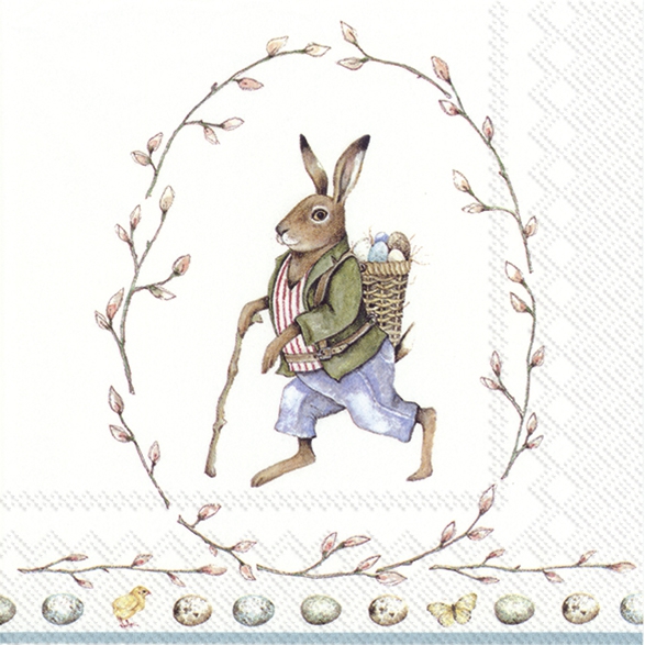 Salveta Edward Rabbit SU5