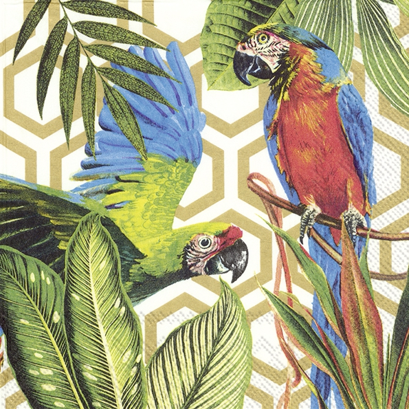 Salveta  Tropical Parrots  PT16