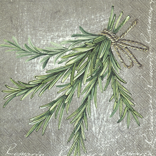 Salveta Herbal Flavour Rosemary  C74