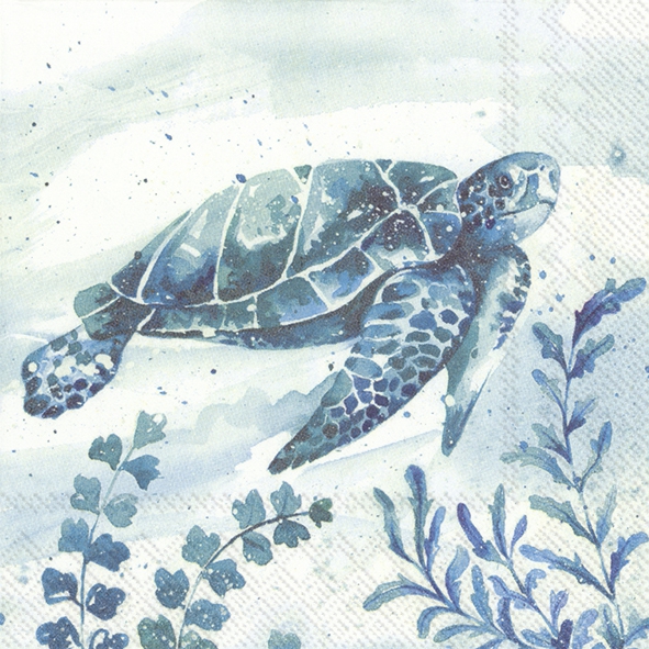 Salveta Aquaworld Waterturtle MO26