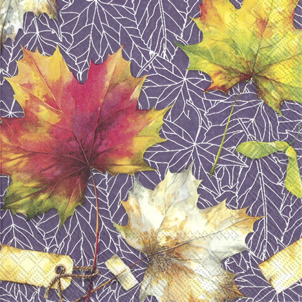 Salveta Country leaves , lilac  CJ8