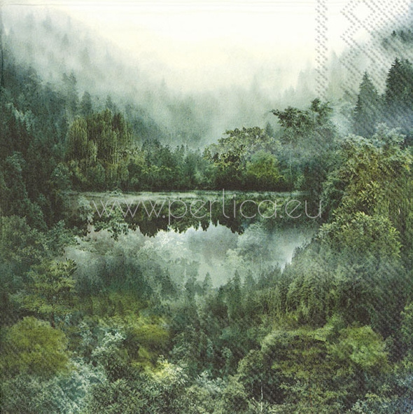 Salveta Magic Forest SPB2
