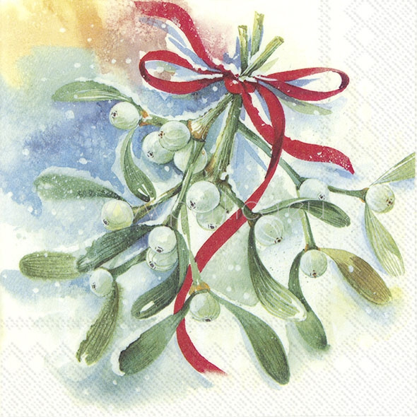 Salveta Winter Mistletoe  BZ28