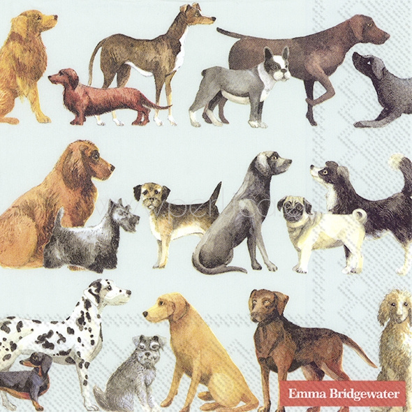 Salveta Dogs ZD3