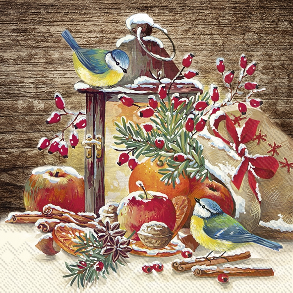 Salveta Winter Light ZI39