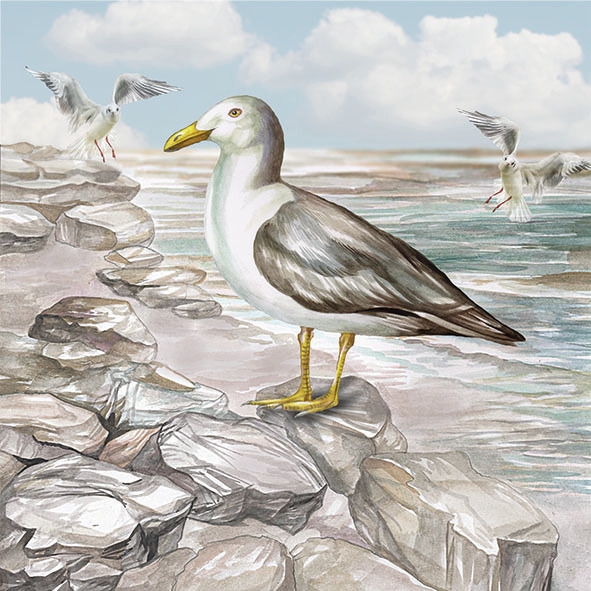 Salveta Seagull On The Shore MO26