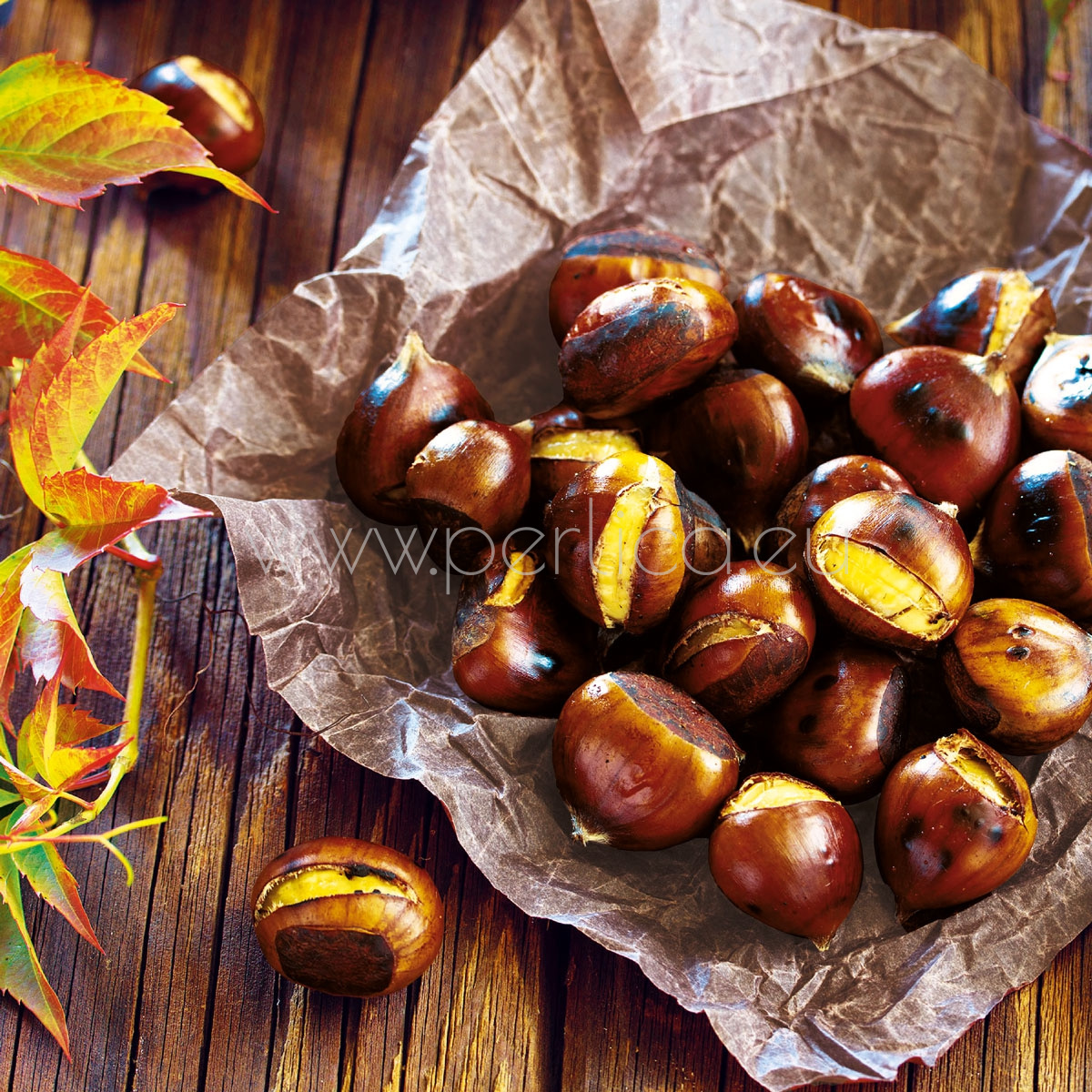 Salveta "Chestnuts" VP24