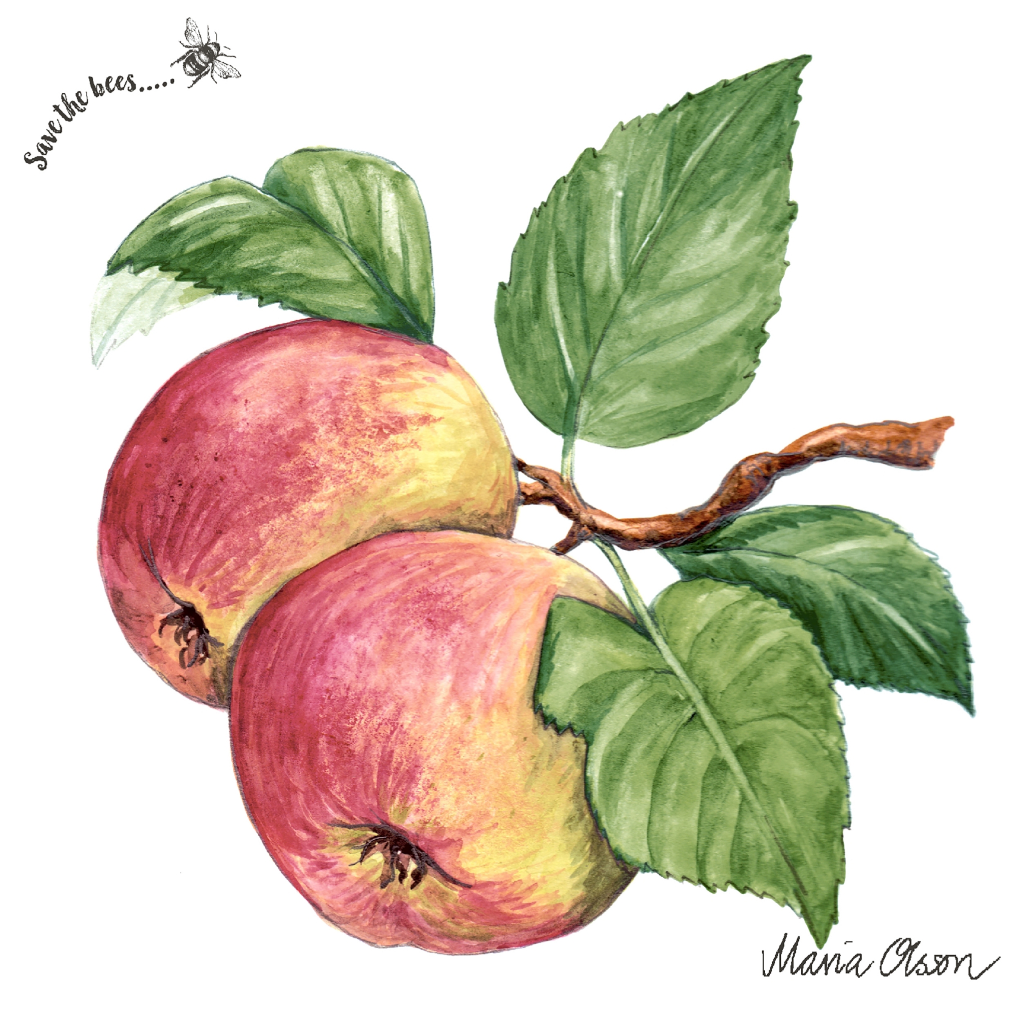 Salveta Apple VP3