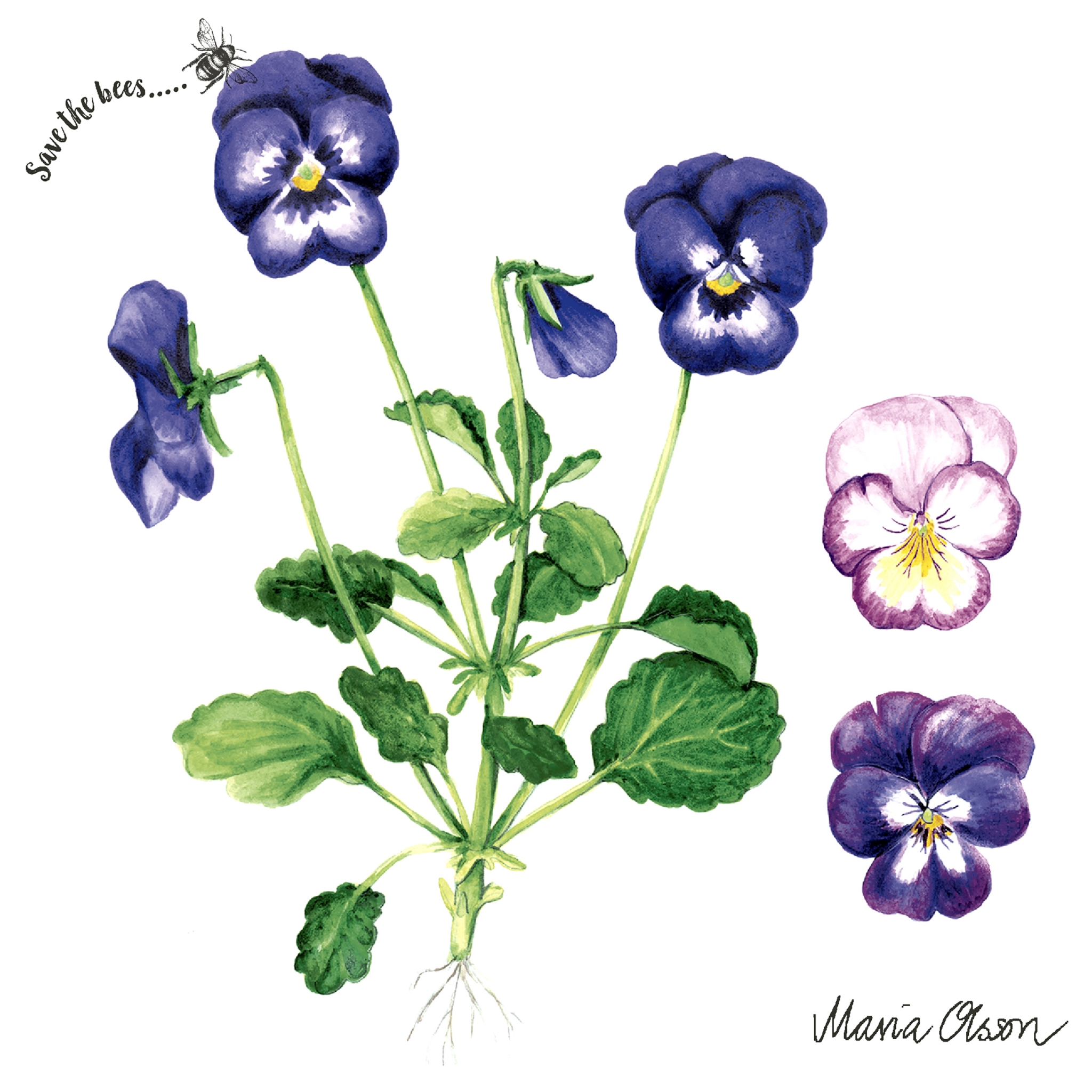 Salveta "Pansies" C56