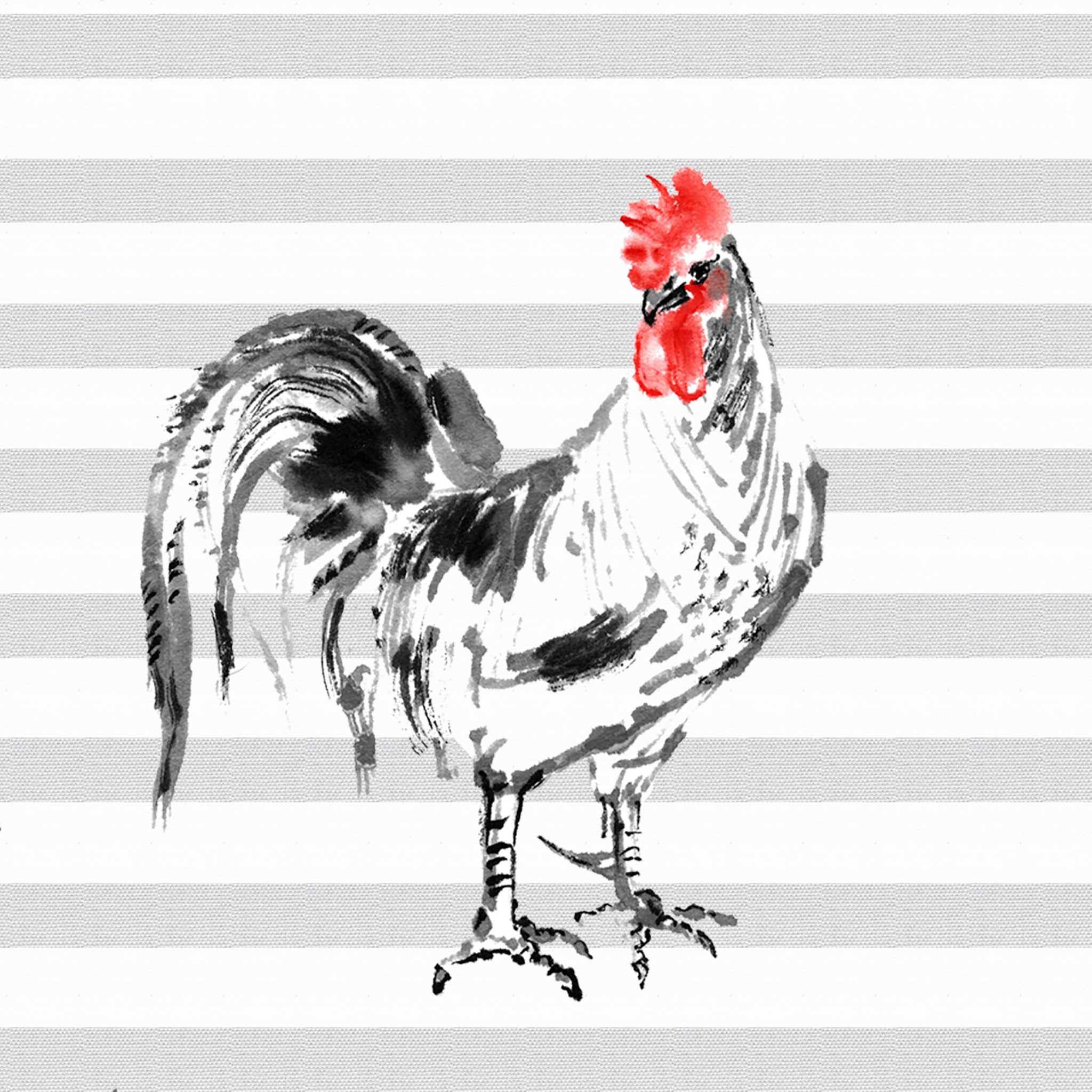 Salveta Rooster SU11