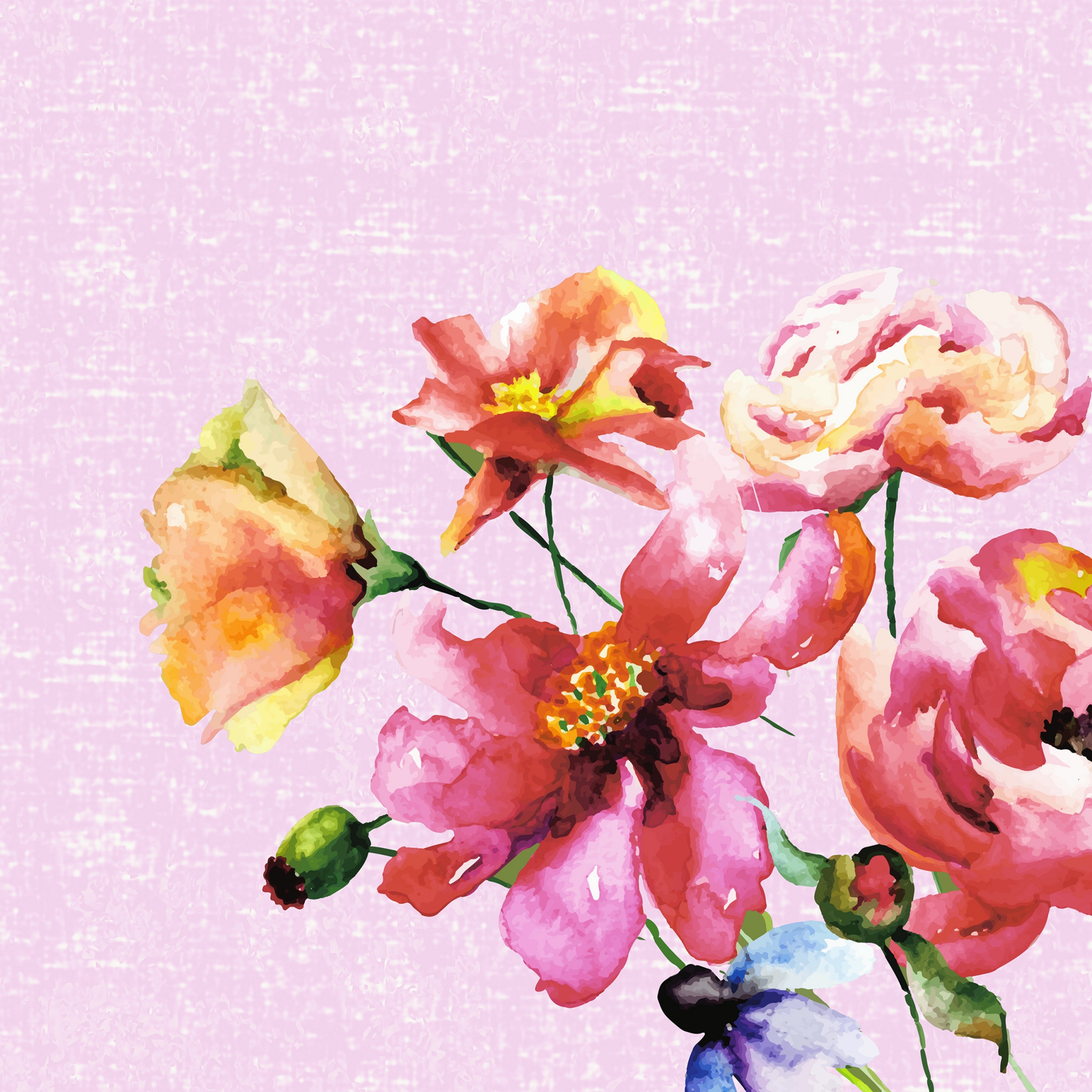 Salveta Wild florals C18