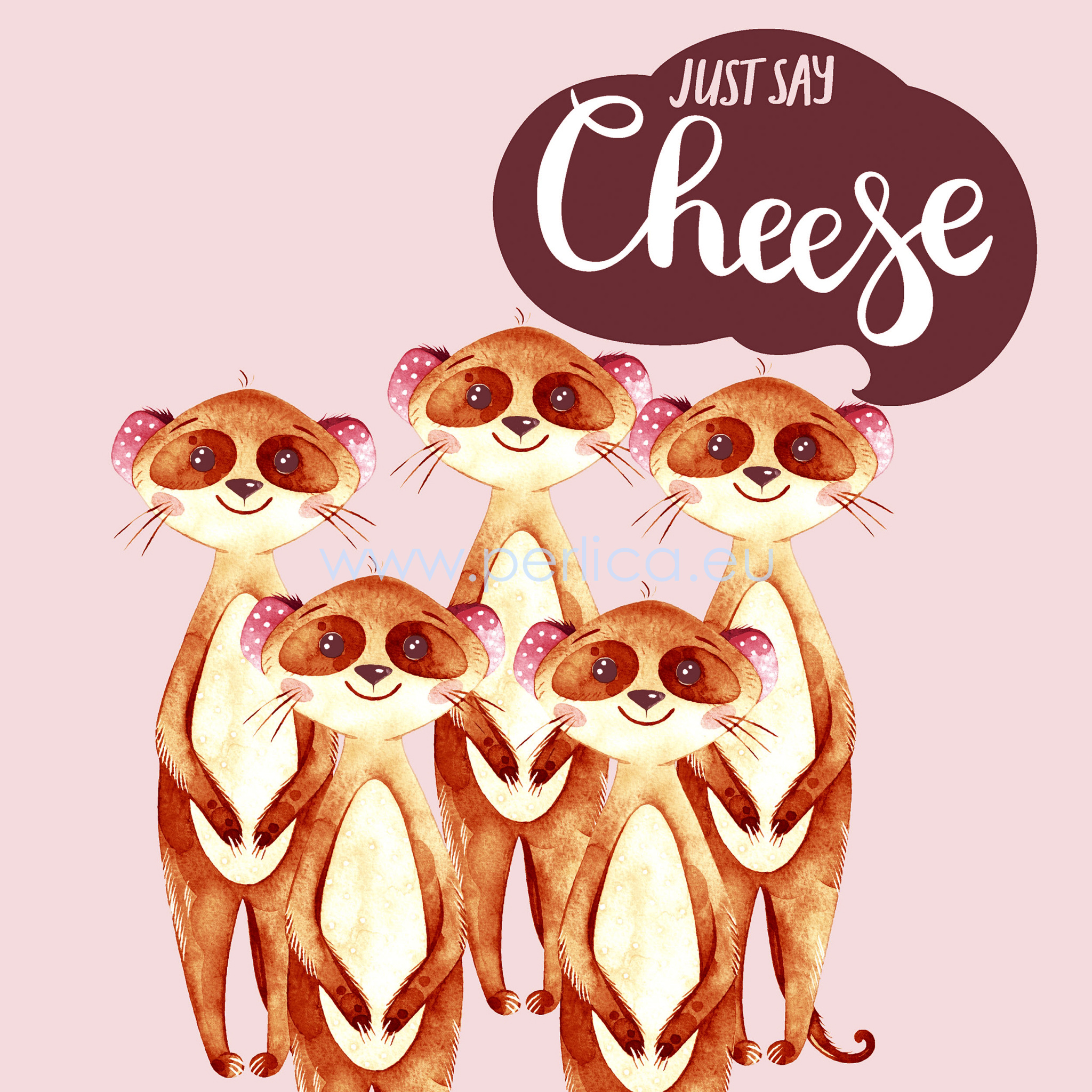 Salveta  Say Cheese LN2