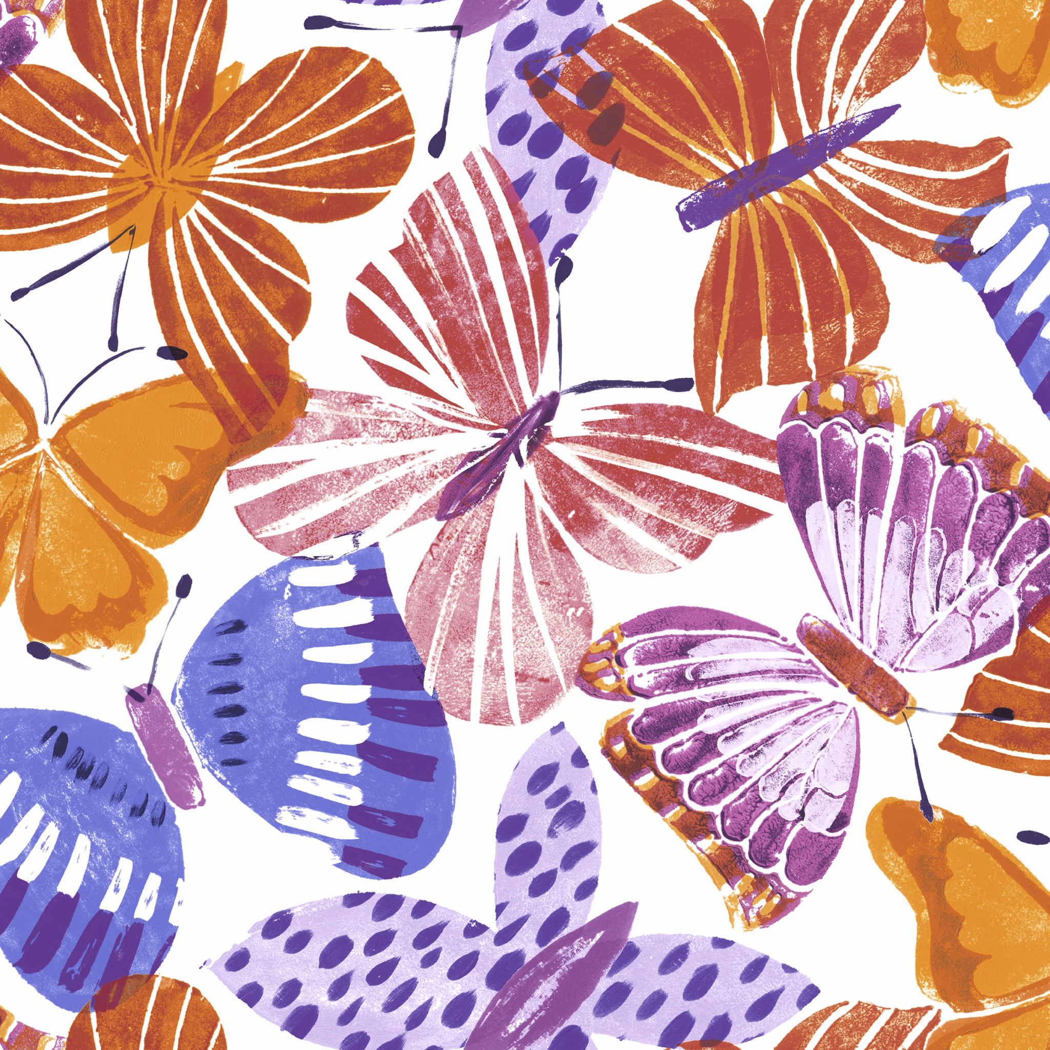 Salveta Colourful butterflies ZL6