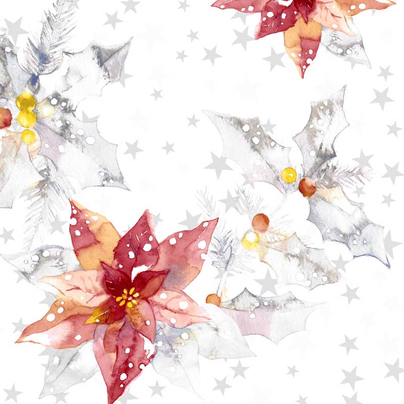 Salveta Winter dream ZI56
