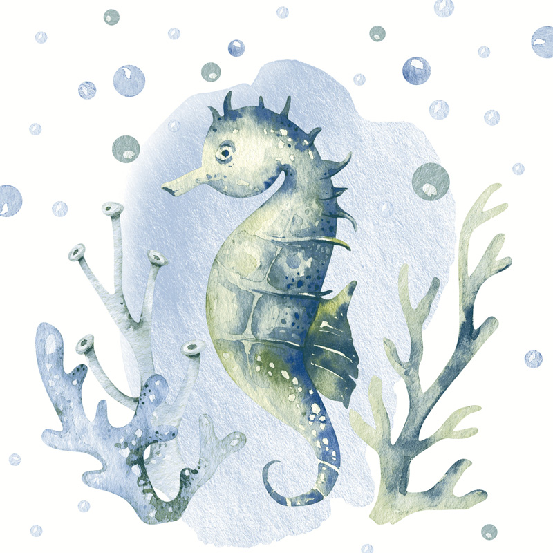 Salveta Sea Horse MO9