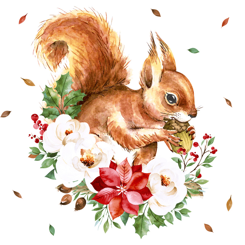 Salveta Sweet Squirrel ZI61