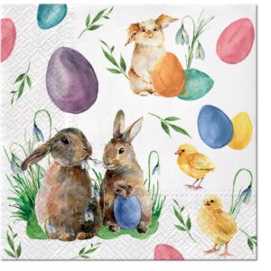 Salveta Bunnies with Chicken SU3