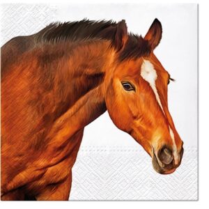 Salveta Horse Head ZMK3