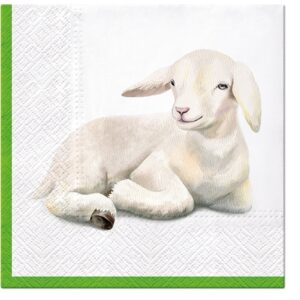 Salveta Lamb in Corner ZS8