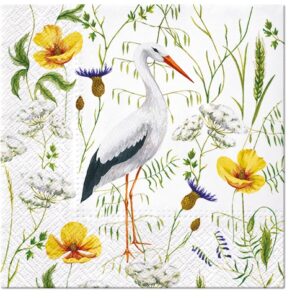 Salveta Stork in grassland PT14