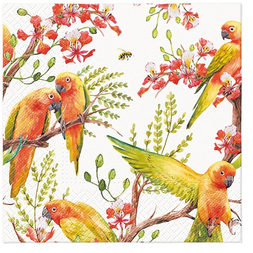 Salveta Exotic Birds PT18
