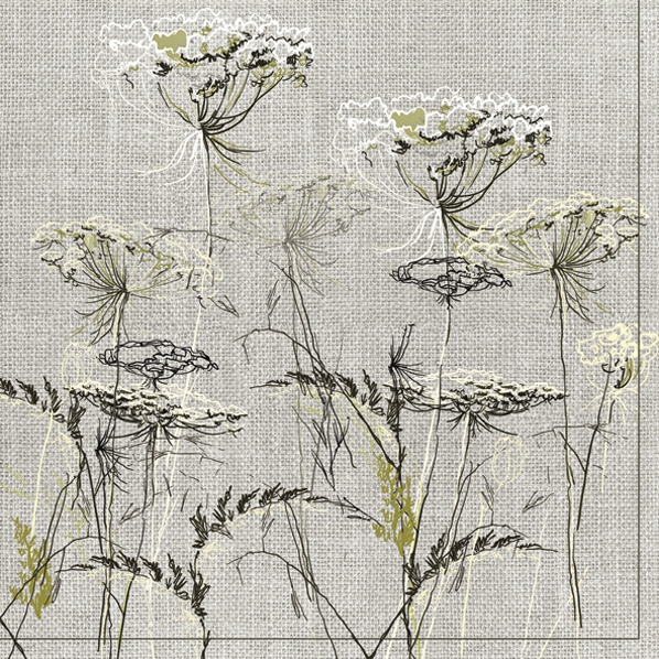 Salveta Achillea Sketch on linen background, G44