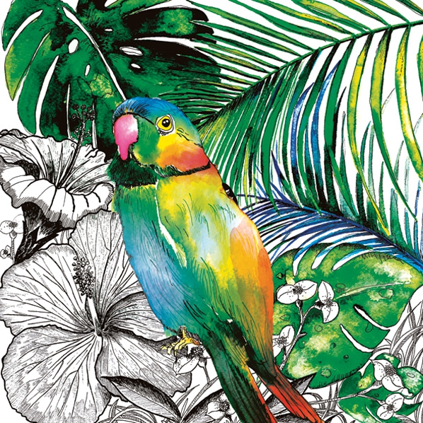 Salveta  Jungle Parrot PT6