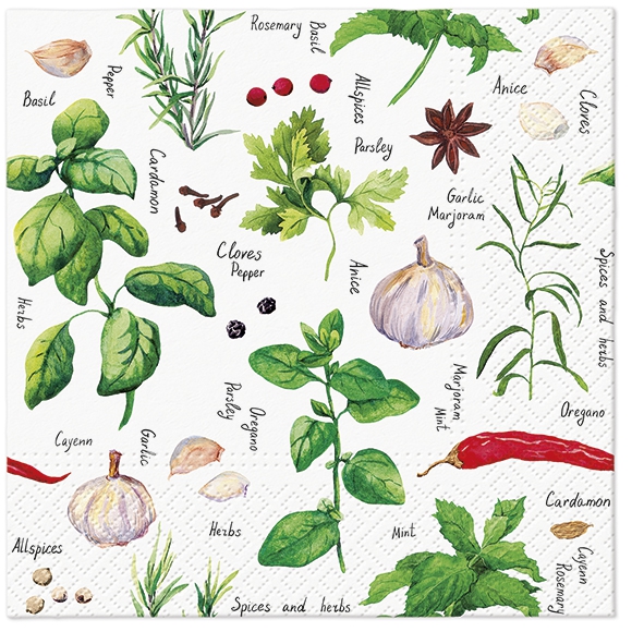 Salveta Spices and Herbs VP4