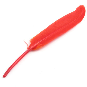 Perje od guske 100-165 x 14-22 mm 10 kom, boja:crvena