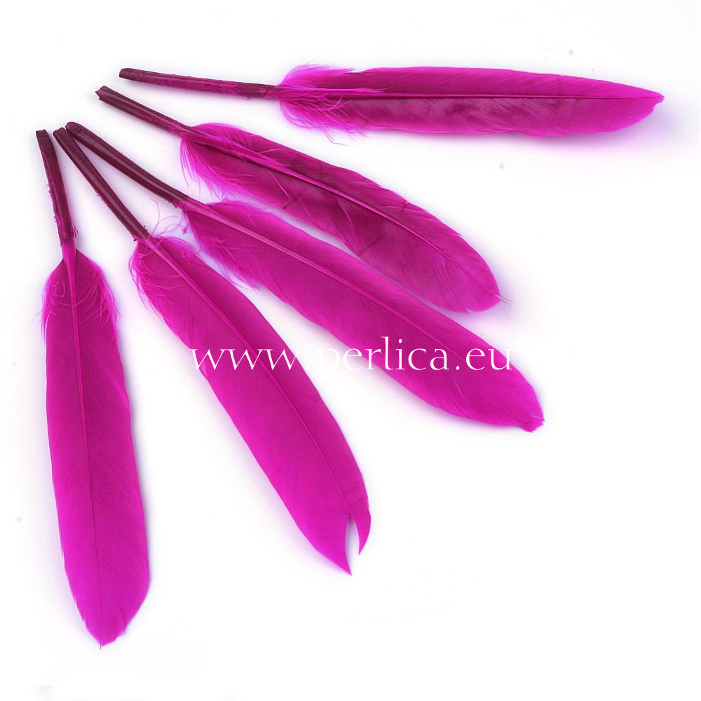 Perje od guske 100-165x14-22 mm, 10 kom, boja magenta