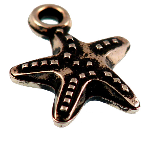 Morska zvijezda 15X19mm 6 kom CCB1