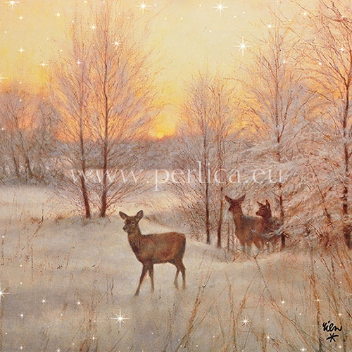 Salveta Dear at Sunset ZI32