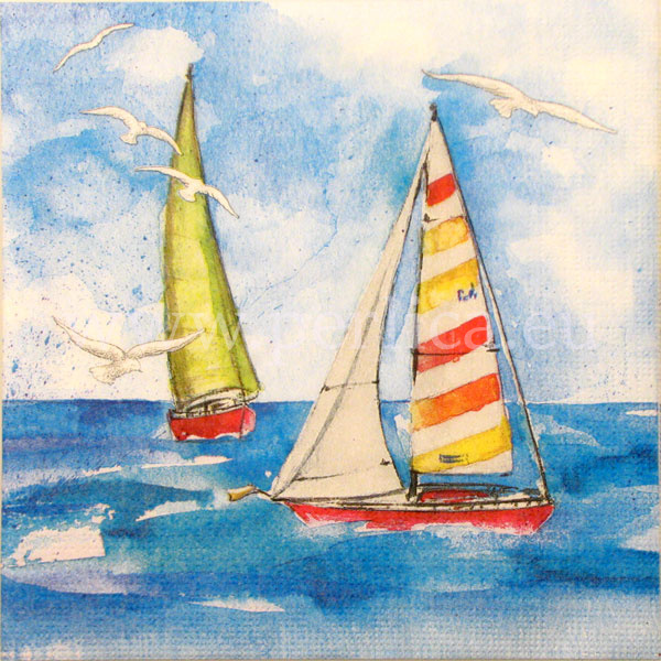Salveta Sailing MO8