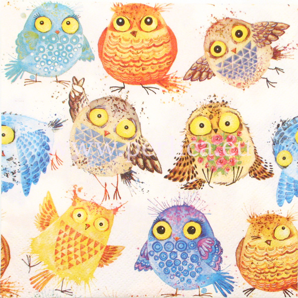 Salveta "Crazy Owls" PT8