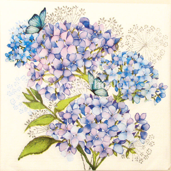 Salveta Hydrangea Provencale C8