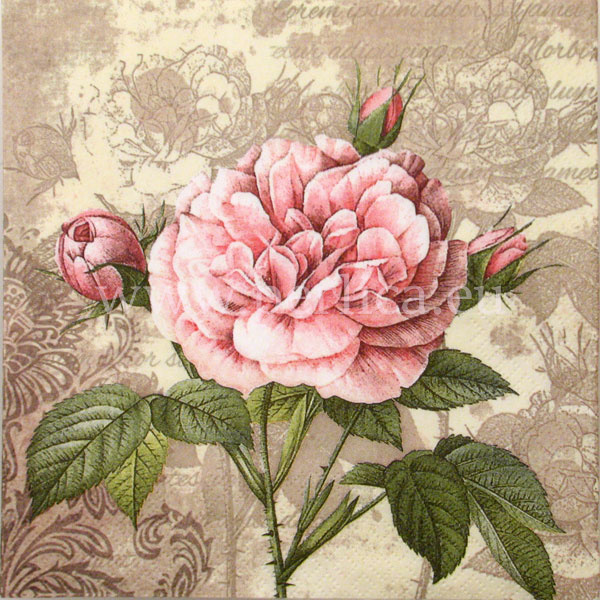 Salveta "Vintage rose with buds" CR5