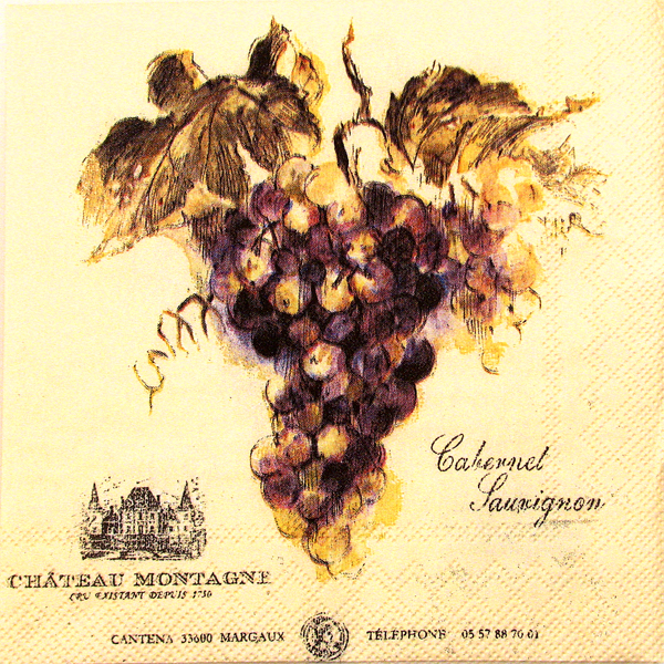 Salveta Vin Rouge VP25