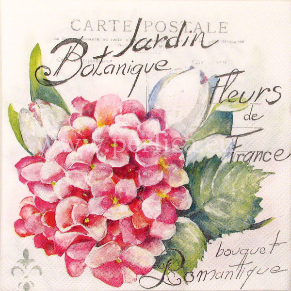 Salveta "Jardin Botanique" rose C36