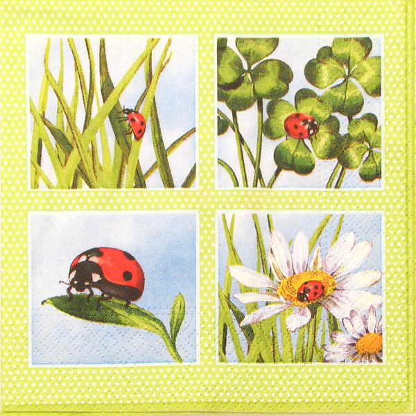 Salveta Ladybird green ZLB2
