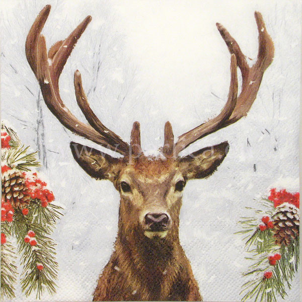 Salveta Deer in winter ZI24
