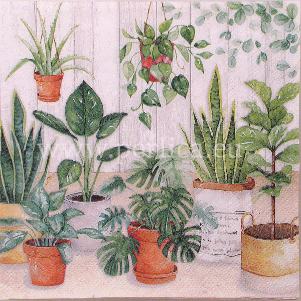 Salveta "Urban jungle" C67