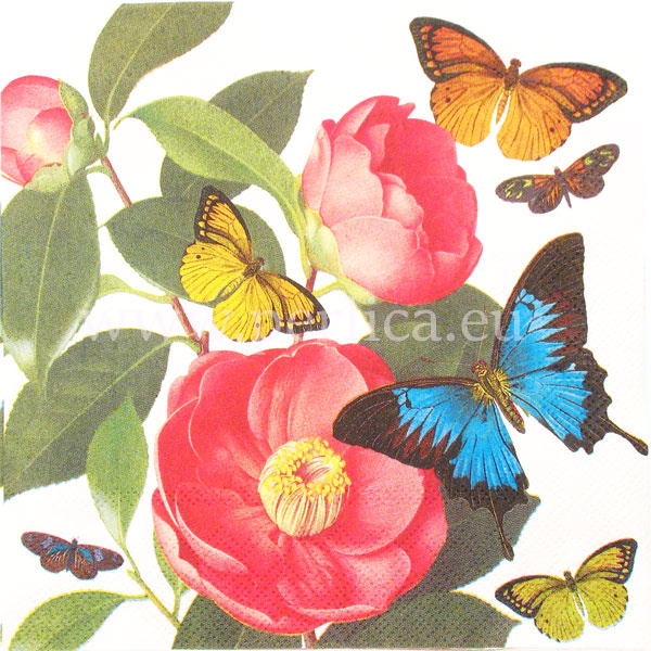 Saveta "Glamorous Camelia" C10