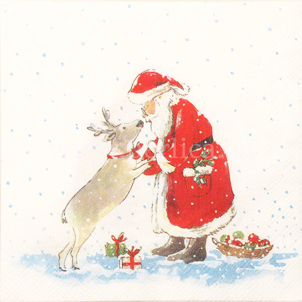 Salveta Santa's best friend BZ25