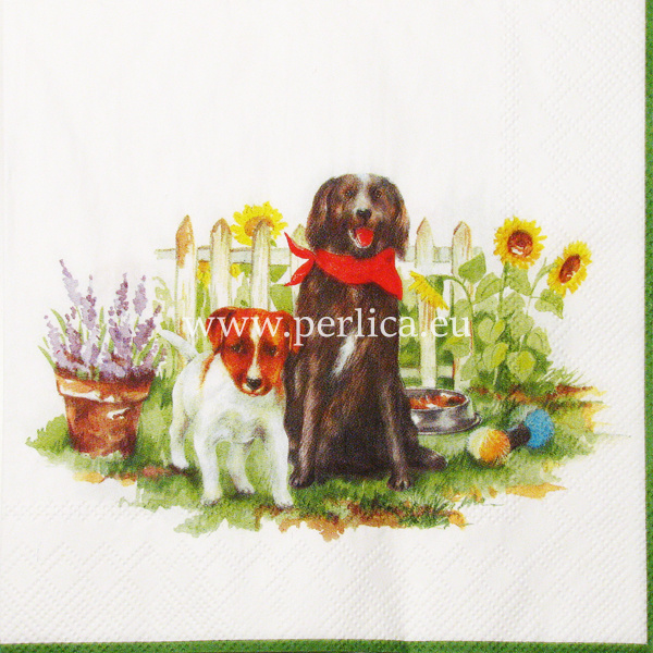 Salveta Hello Dogs ZD2