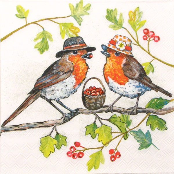 Salveta "Birdie hats" PT12