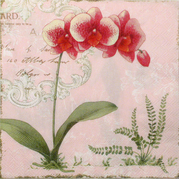 Salveta "L orchidee light rose" C21