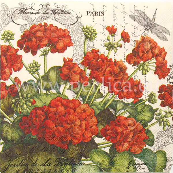 Salveta "Geranium" C88
